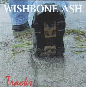Tracks (2CD)
