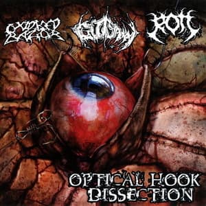 Optical Hook Dissection