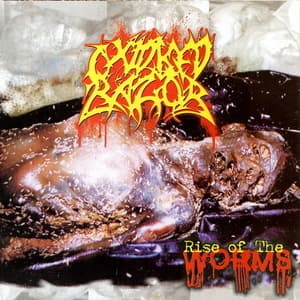 Rise Of The Worms