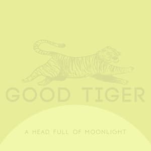 A Head Full Of Moonlight 