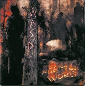 Dying For The World