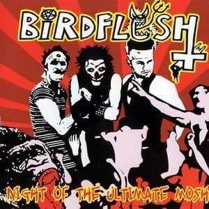 Night Of The Ultimate Mosh
