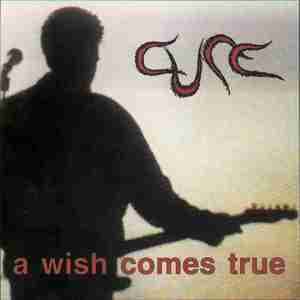 A Wish Comes True