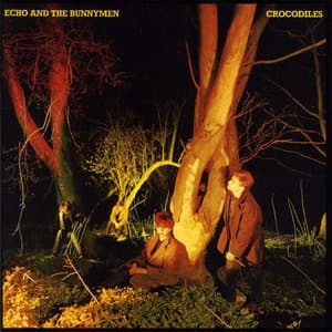 Echo & The Bunnymen