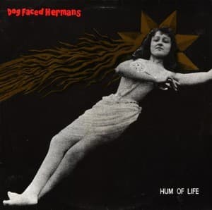 Hum Of Life