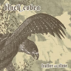Feather And Stone