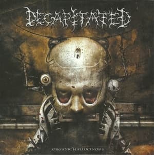 Organic Hallucinosis