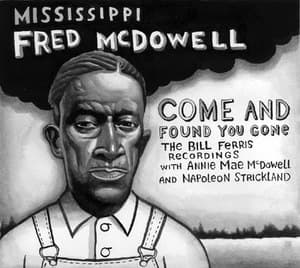 Come And Found You Gone - The Bill Ferris Recordings