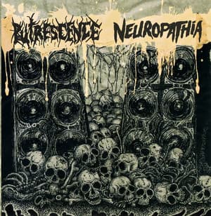 Neuropathia Vs Putrescence