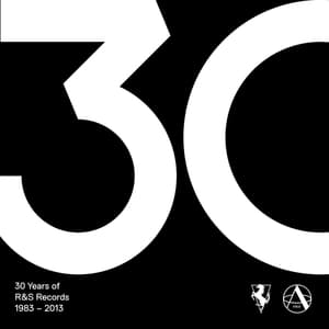 30 Years Of R&s Records