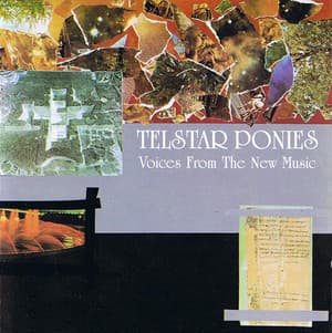 Voices From The New Music