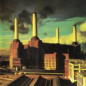 Animals