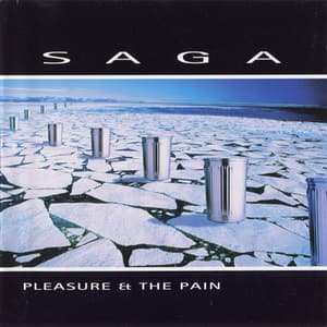 Pleasure & The Pain