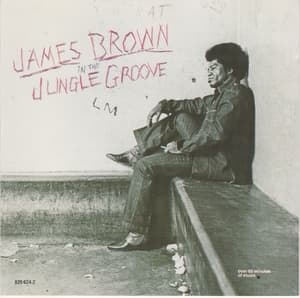 In The Jungle Groove (non-remastered, Polydor 829 624-2)