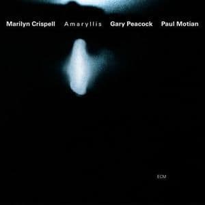 Amaryllis