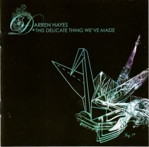 This Delicate Thing We've Made (2CD)
