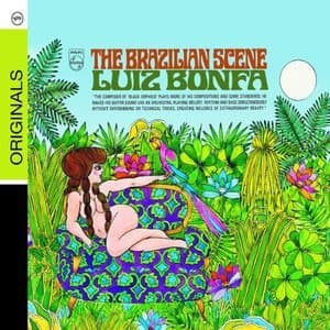 The Brazilian Scene