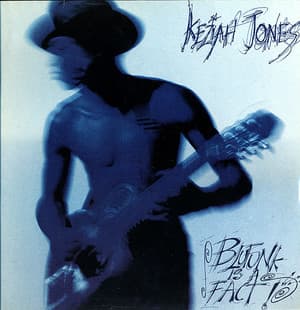 Blufunk Is A Fact! (Japan)