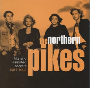 Hits And Assorted Secrets 1984-1993