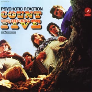 Psychotic Reaction