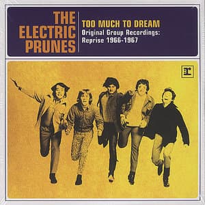 Too Much To Dream The Original Group Recordings