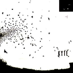 Kyte