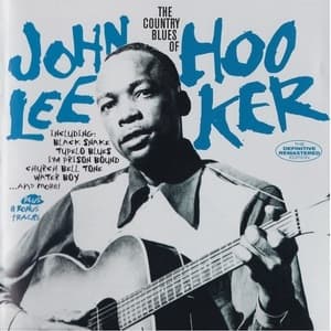 The Country Blues Of John Lee Hooker