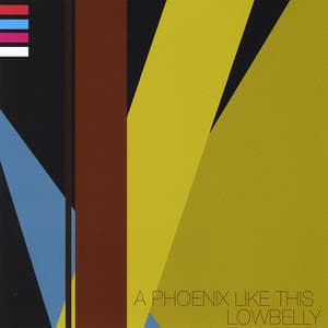 A Phoenix Like This