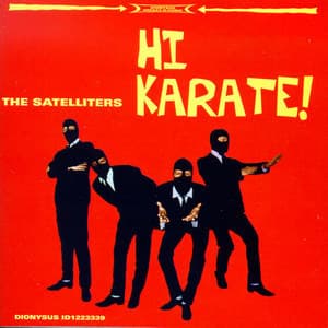 Hi Karate!