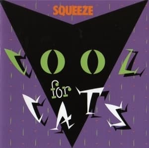 Cool For Cats