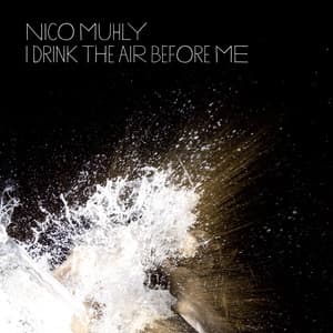 I Drink The Air Before Me