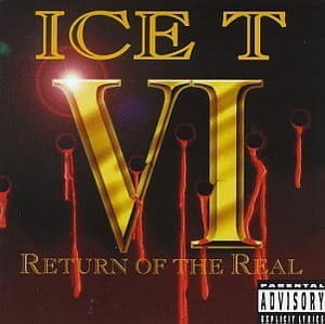 Vi: Return Of The Real