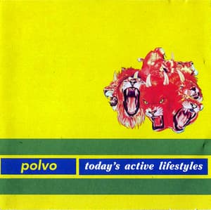 Today's Active Lifestyles