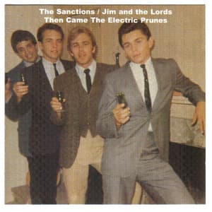Then Came The Electric Prunes