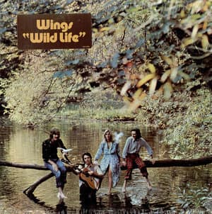 Wild Life