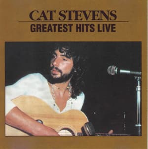 Greatest Hits Live