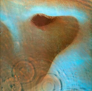 Meddle