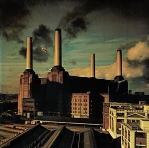 Animals