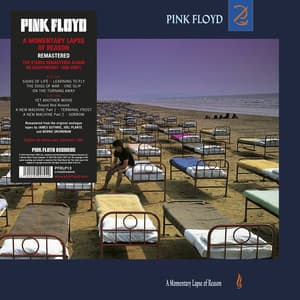 A Momentary Lapse Of Reason