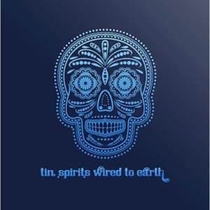 Wired To Earth