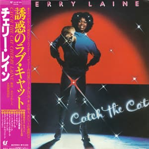 Catch The Cat