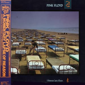 A Momentary Lapse Of Reason