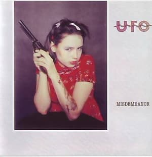 Misdemeanor