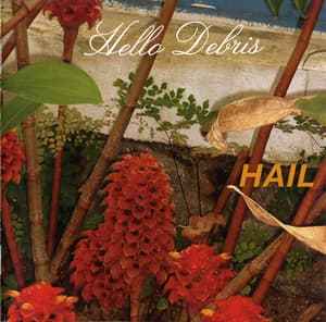 Hello Debris
