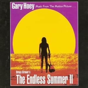 The Endless Summer II