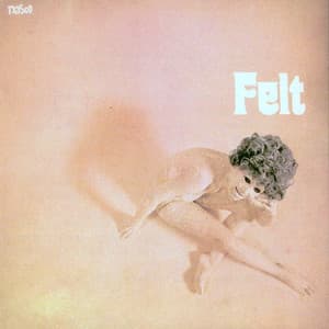 Felt