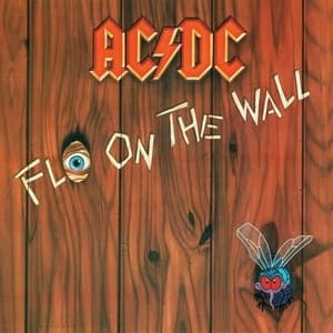 Fly On The Wall
