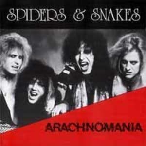 Arachnomania
