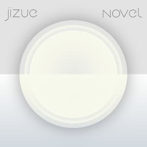 Novel