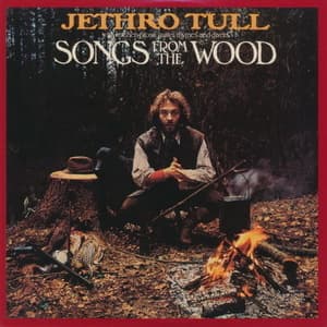 Songs From The Wood